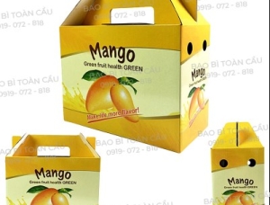 Tiêu Chuẩn "Khắt Khe" Cho Thùng Xoài Xuất Khẩu: Bí Quyết Vượt Rào Cản FDA và COOL