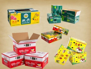Sóng Giấy Carton Là Gì? Hướng Dẫn Phân Biệt Các Loại Sóng A, B, C, E