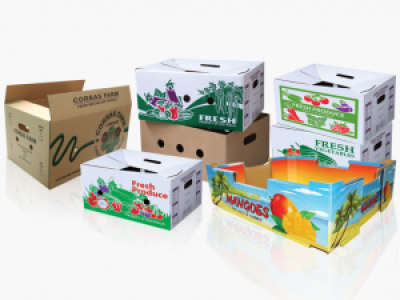Những lưu ý cần biết khi in thùng carton offset