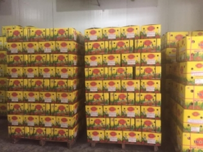 BAO BÌ MIỀN TRUNG GIÁ RẺ