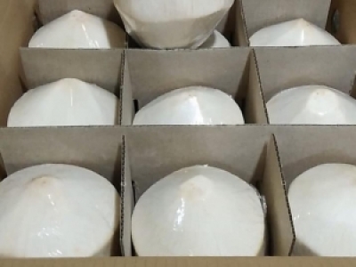 CHỌN IN OFFSET THÙNG CARTON NÔNG SẢN XUẤT KHẨU