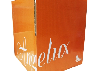 Công Nghệ Cán Màng Chống Thấm: Giải Pháp Bao Bì Đột Phá Cho Ngành Thủy Sản Đông Lạnh Việt Nam