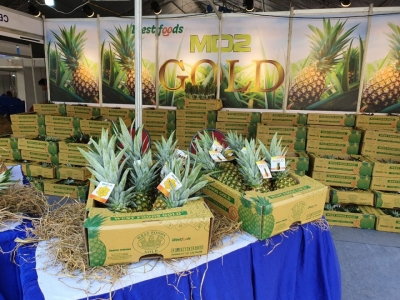 Thùng & Khay Đựng Dứa Xuất Khẩu