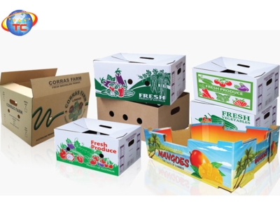 Tìm hiểu về những đặc điểm của thùng đựng nông sản