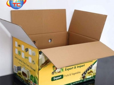Tại sao thùng carton là lựa chọn số một cho ngành trái cây xuất khẩu?