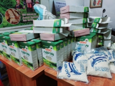 IN HỘP GIẤY ĐỰNG GẠO TPHCM