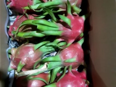 XƯỞNG IN BAO BÌ TRÁI CÂY ĐẸP CHẤT LƯỢNG