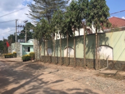 BAO BÌ TOÀN CẦU ỔN ĐỊNH GIÁ CHO DOANH NGHIỆP