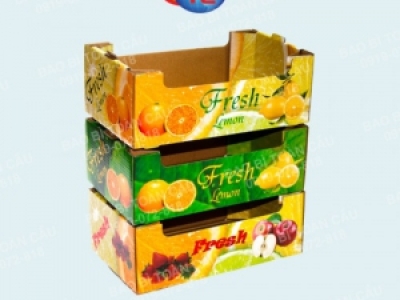 Các tiêu chuẩn trong thiết kế in thùng carton