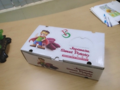 IN THÙNG CARTON ĐỰNG KHOAI LANG