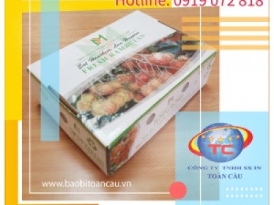BAO BÌ NÔNG SẢN, THÙNG CARTON ĐỰNG NÔNG SẢN