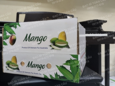 Thiết kế bao bì nông sản theo từng thị trường: châu Á, châu Âu và Mỹ khác nhau ở điểm nào?