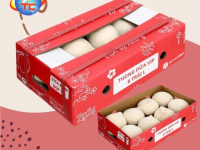 Công ty chuyên sản xuất thùng đựng dừa uy tín, chất lượng