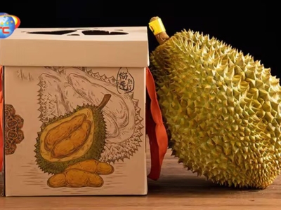 Công ty chuyên sản xuất thùng sầu riêng uy tín hiện nay