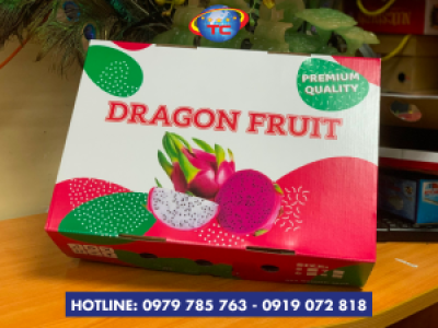 Cơ sở sản xuất thùng carton đựng thanh long uy tín, chất lượng ở Củ Chi