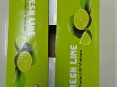 MẪU THÙNG CARTON ĐỰNG TRÁI CÂY XUẤT KHẨU