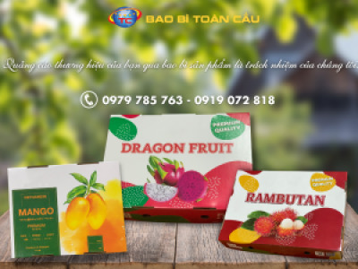 Địa chỉ cung cấp các loại thùng nông sản đạt chuẩn tại Tp.HCM