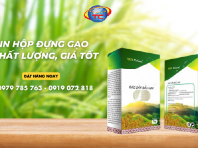 Địa chỉ cung cấp hộp đựng gạo uy tín, giá rẻ, chất lượng tại Tp.HCM