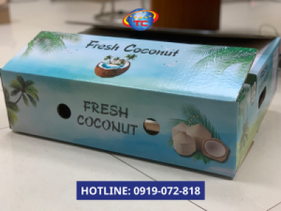 Địa chỉ cung cấp thùng dừa đạt chuẩn tại Củ Chi