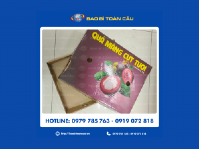 Địa chỉ in khay âm dương đựng măng cụt giá rẻ tại Tp.HCM