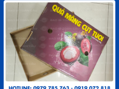 Địa chỉ in khay âm dương đựng măng cụt giá tốt ở Củ Chi