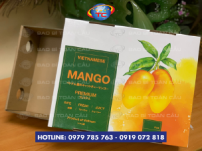 Địa chỉ in khay âm dương đựng xoài giá tốt ở Củ Chi