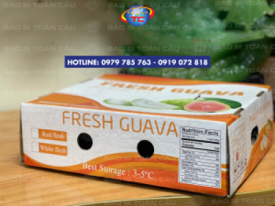 Địa chỉ in thùng carton đựng ổi uy tín tại Củ Chi