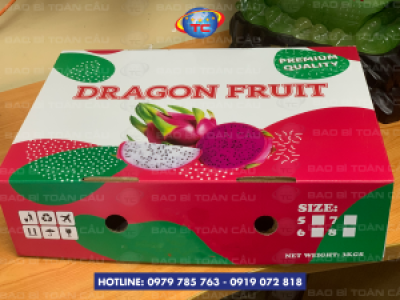 Địa chỉ in thùng carton đựng thanh long uy tín, giá tốt tại Tp.HCM