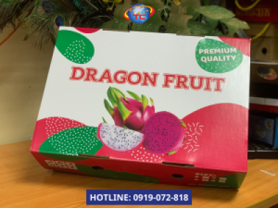 Địa chỉ in thùng carton đựng thanh long uy tín tại Củ Chi