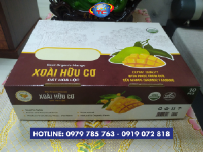 Địa chỉ in thùng carton đựng xoài tại Củ Chi
