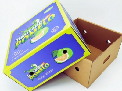 Đơn vị sản xuất thùng carton đựng bưởi chất lượng, phù hợp vận chuyển