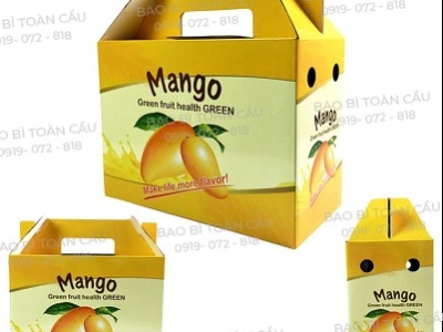 Cung cấp thùng carton đựng trái cây Tết: Giải pháp đóng gói bền đẹp, nâng tầm giá trị