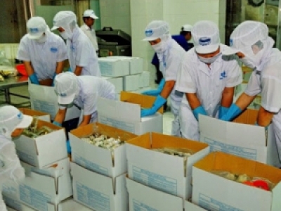 IN BAO BÌ MIỀN TRUNG SAU BÃO LŨ