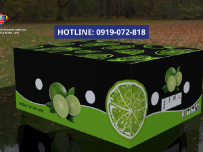 Đơn vị in thùng carton đựng chanh giá gốc tại xưởng ở Củ Chi
