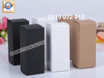 IN HỘP GIẤY KRAFT