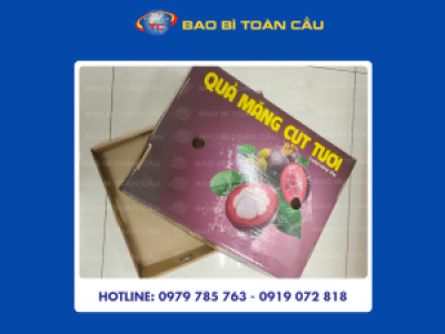 Hộp âm dương đựng măng cụt giá rẻ, chất lượng ở Củ Chi