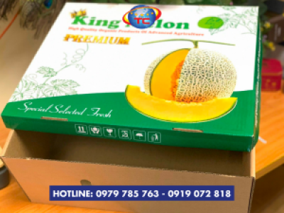 Hộp carton đựng dưa lưới mẫu mã đẹp, giá rẻ ở Củ Chi