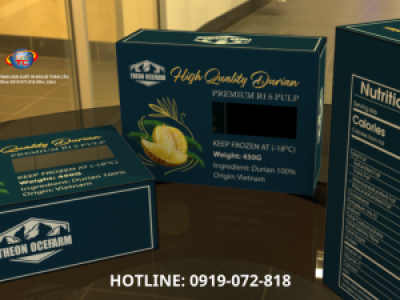 In hộp carton đựng sầu riêng ri 6 chất lượng  ở Củ Chi