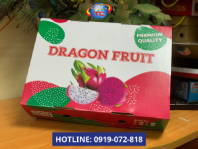 Hộp carton đựng thanh long xuất khẩu chất lượng cao tại Tp.HCM