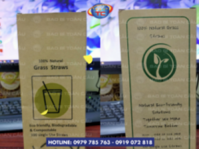 Hộp giấy đựng ống hút gạo, ống hút giấy 