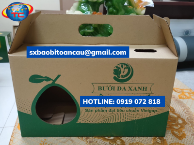 Thùng Carton Chống Ẩm 7 Lớp: Giải Pháp "Bất Khả Xâm Phạm" Cho Bưởi Xuất Khẩu Đường Biển