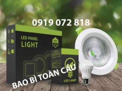 IN HỘP BÓNG ĐÈN LED