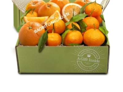 THÙNG CARTON ĐỰNG CAM