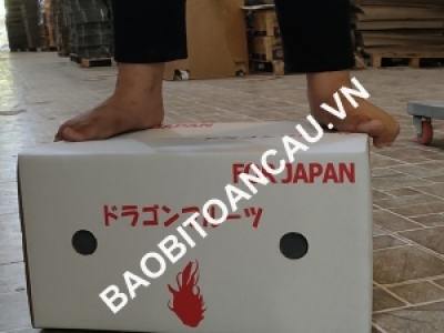 SẢN XUẤT THÙNG CARTON FLEXO