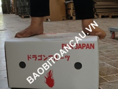 THÙNG CARTON IN FLEXO CHẤT LƯỢNG CAO