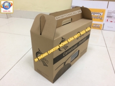 QUY TRÌNH ĐẶT THÙNG CARTON NÔNG SẢN