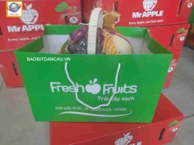 IN TÚI XÁCH ĐỰNG HOA QUẢ