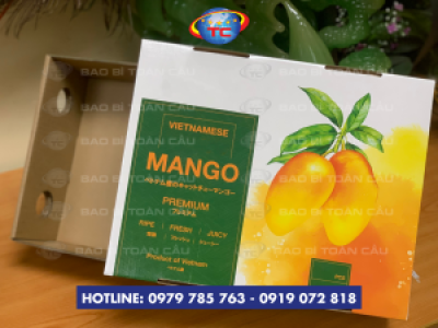 In bao bì, hộp đựng xoài xuất khẩu đạt chuẩn tại Củ Chi