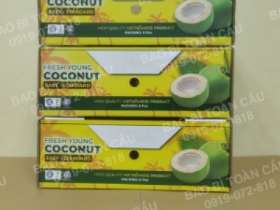 Xưởng in bao bì thùng đựng dừa uy tín tại TPHCM