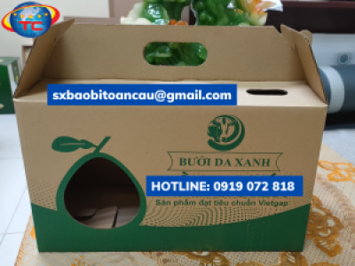 SẢN XUẤT THÙNG CARTON ĐỤC LỔ